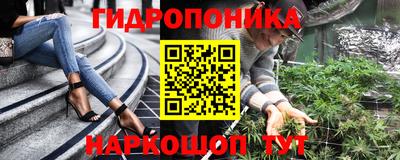 индика Краснознаменск