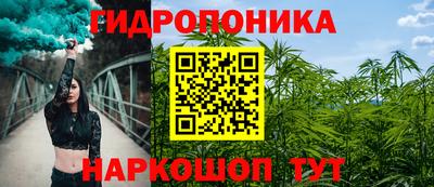 индика Краснознаменск