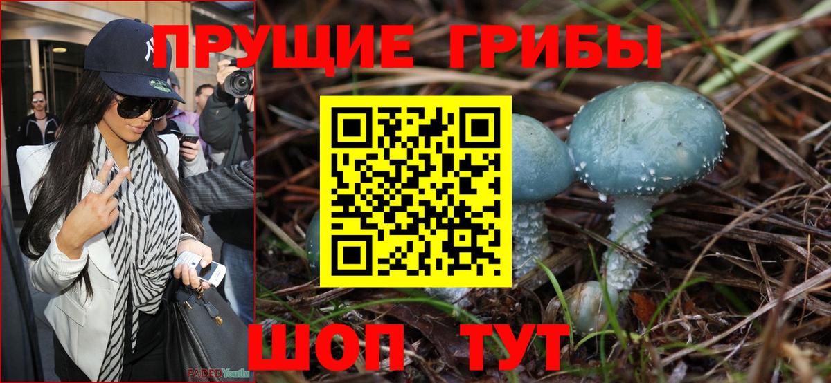 Ишимбай  Псилоцибиновые грибы Psilocybine cubensis  Вход с VPN  Галлюциногенные грибы ЛСД 